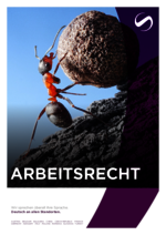 SCHINDHELM_BF_2024-11_DE_Arbeitsrecht.pdf